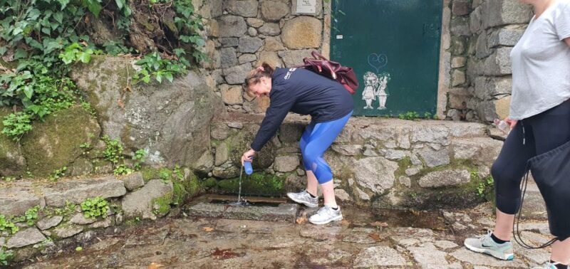 From Albufeira: Excursion to Silves Castle and Monchique - A Closer Look at the Itinerary