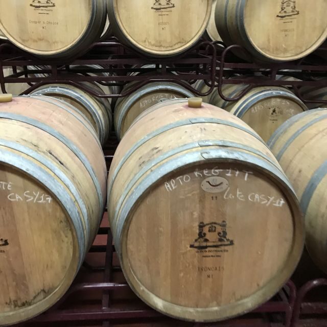 From Albufeira: Full-Day Wine Tasting Tour with a Guide - Potential Drawbacks and Considerations