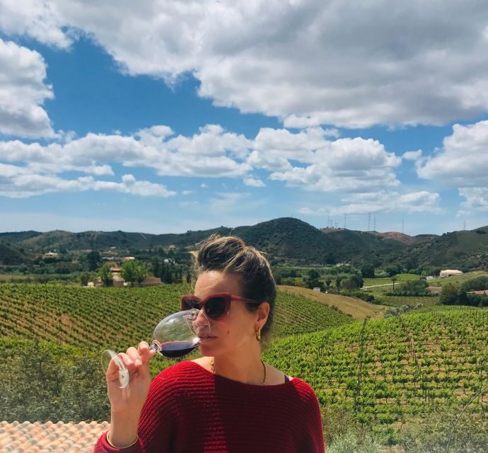 From Albufeira: Full-Day Wine Tasting Tour with a Guide - Who is This Tour Best For?