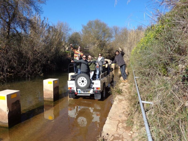 From Albufeira: Half-Day Algarve Jeep Safari - Who Will Love This Tour?