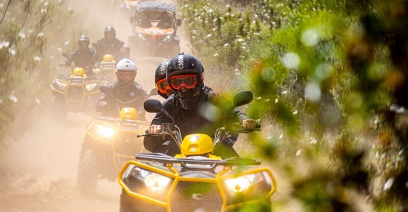 From Albufeira: Half-Day Off-Road Quad Tour - Who Will Love This Tour?