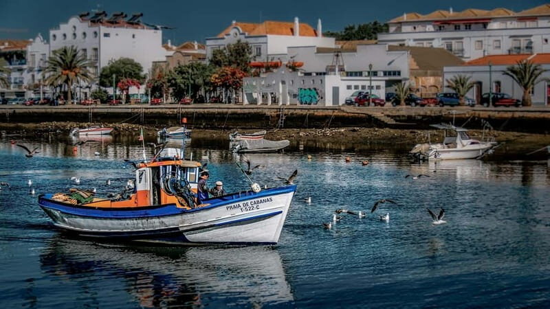 From Albufeira: Loule, Faro, and Tavira Guided Day Trip - What’s in the Tour: A Deep Dive