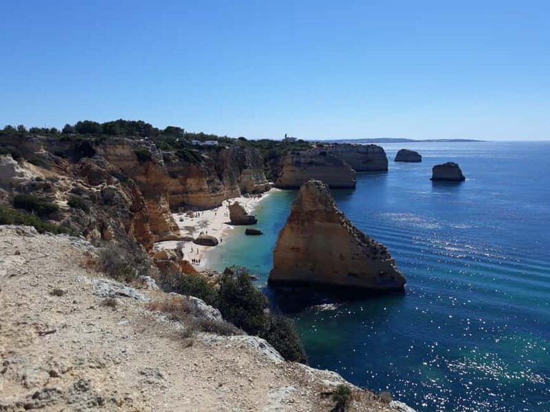From Albufeira: Tuk-Tuk Tour to Benagil Caves - Who Is This Tour Best For?