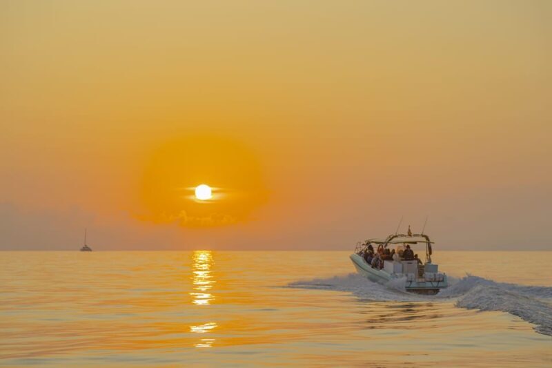 From Alcudia: Sunrise Dolphin Watching Boat Tour - The Sum Up