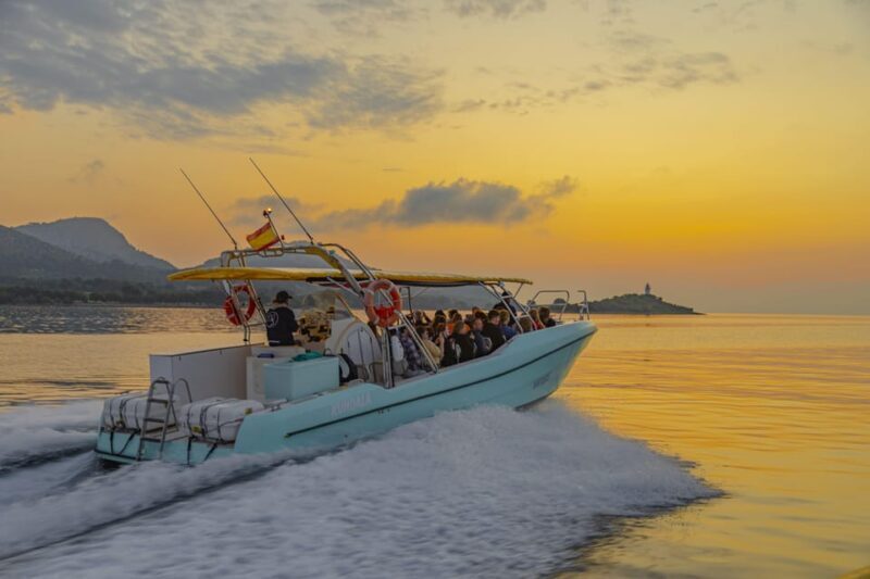 From Alcudia: Sunrise Dolphin Watching Boat Tour - FAQs