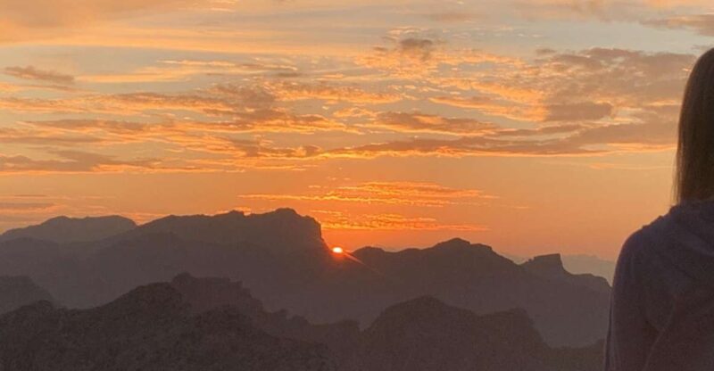 From Alcudia: Sunset Formentor Tour with Cava - Who Will Love This Tour?