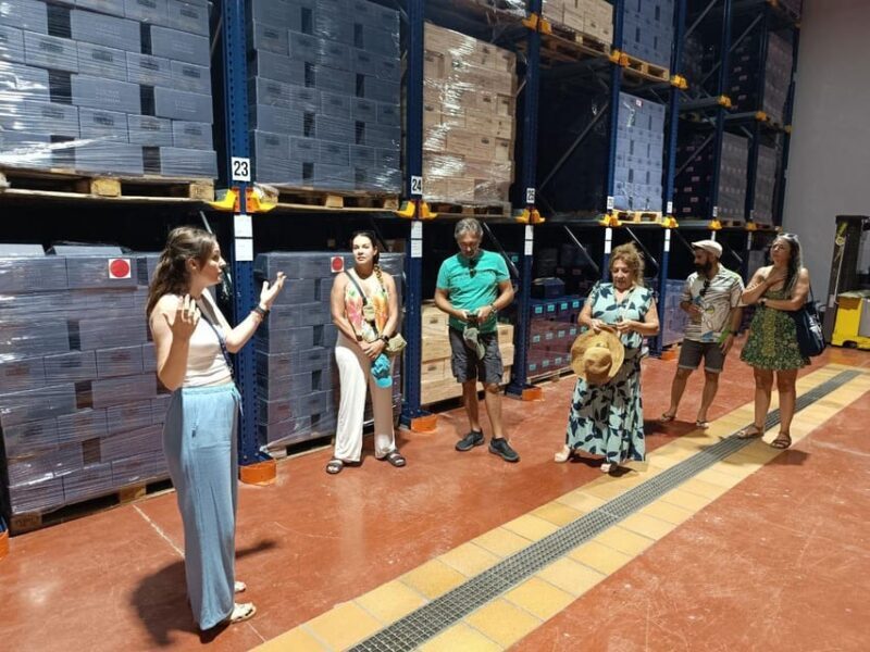 From Alicante ,Benidorm: Winery Tour and Wine Tasting - Key Points