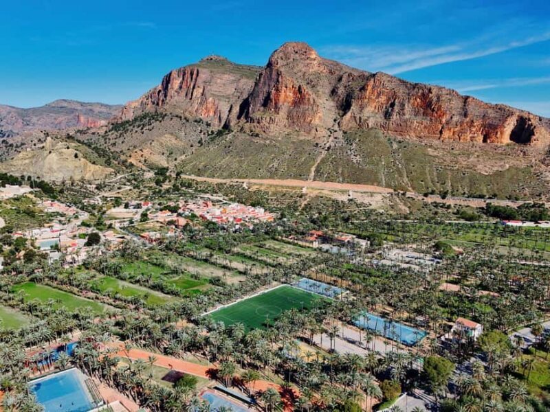 From Alicante: Elche Half-Day of Palms, History & Heritage - The Practicalities: What You Need to Know