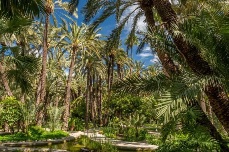 From Alicante: Elche Half-Day of Palms, History & Heritage - Who Should Consider This Tour?