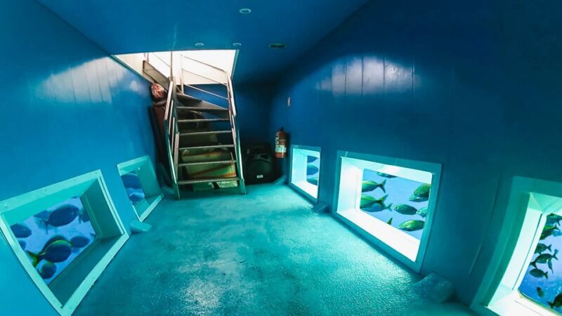 From Alicante: Roundtrip to Tabarca Island - Practical Tips for Making the Most of Your Trip