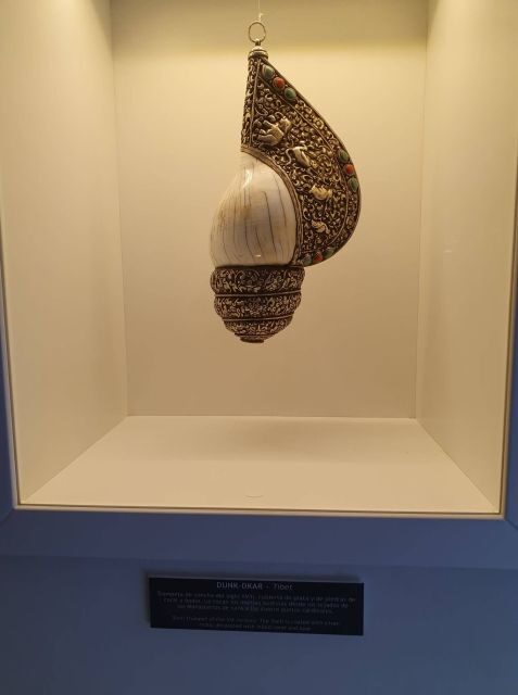 From Alicante: to the caves in Europe, Canelobre. Gidovik - Diving Into the Experience: What to Expect