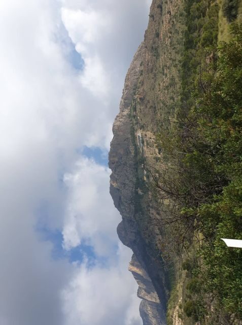 From Alicante: to the caves in Europe, Canelobre. Gidovik - FAQ