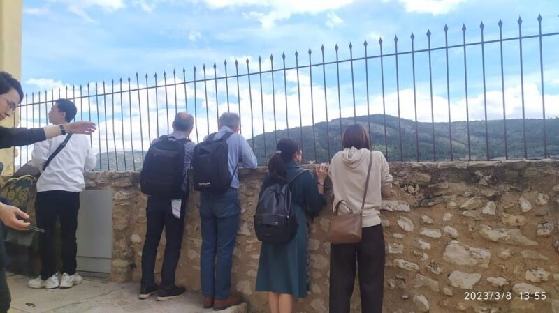 From Alicante visit: Valencia center - Price and Value Analysis