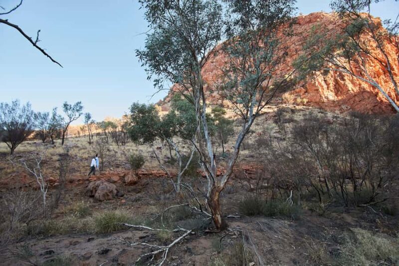 From Alice Springs: West MacDonnell Ranges Half Day Trip - What’s Included and How It’s Structured