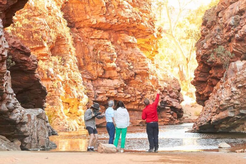 From Alice Springs: West MacDonnell Ranges Half Day Trip - Who Is This Tour Best For?