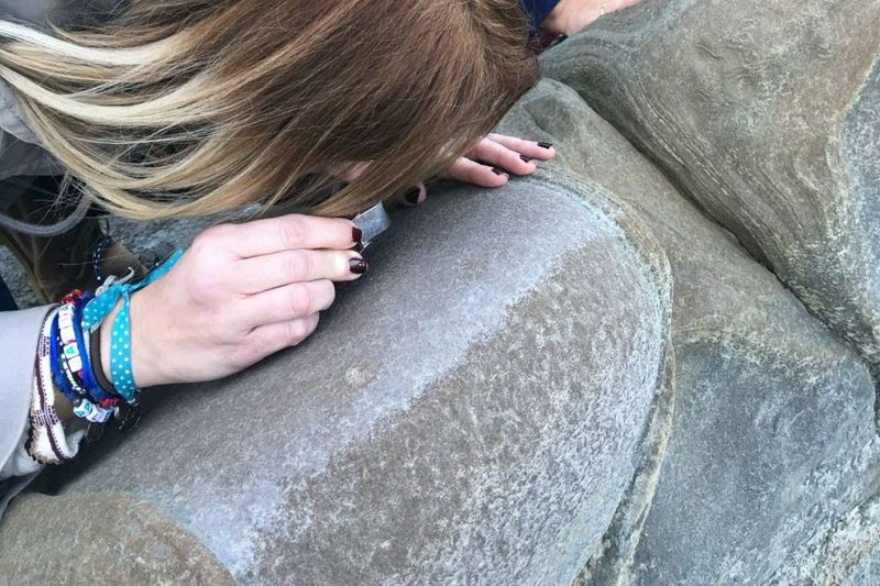 From Almeria: Tabernas Desert 4WD Joyriding Tour - The Landscape Stops: Grey, Beige, and Brown in Motion