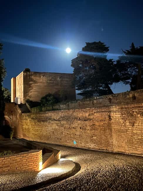 From Almuñécar: Granada Day Trip with Alhambra and Cathedral - Price and Value