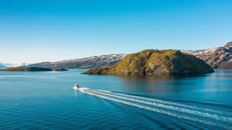 From Alta: Adventure Cruise in Alta Fjord - Who is This Tour Best For?