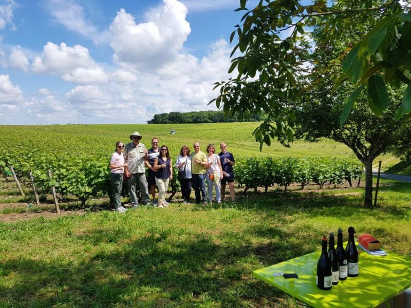 From Amboise: Villandry, Azay-le-Rideau & Winery - Final Thoughts: Is This Tour Right for You?