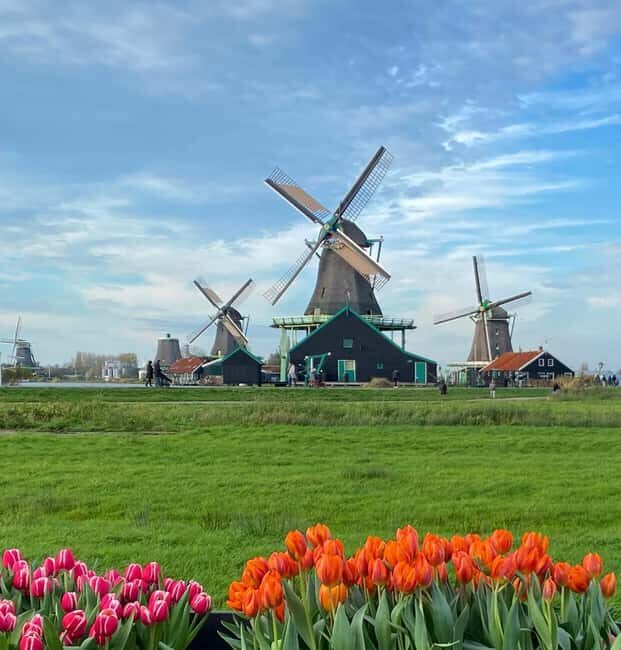 From Amsterdam; Alkmaar Cheese market & Zaanse Schans - What to Expect on the Tour