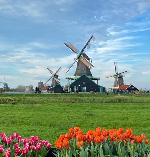 From Amsterdam; Alkmaar Cheese market & Zaanse Schans - Final Thoughts: Is This Tour Right for You?