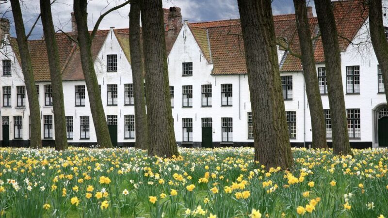 From Amsterdam: Bruges Guided Day Trip in English - The Price and Value