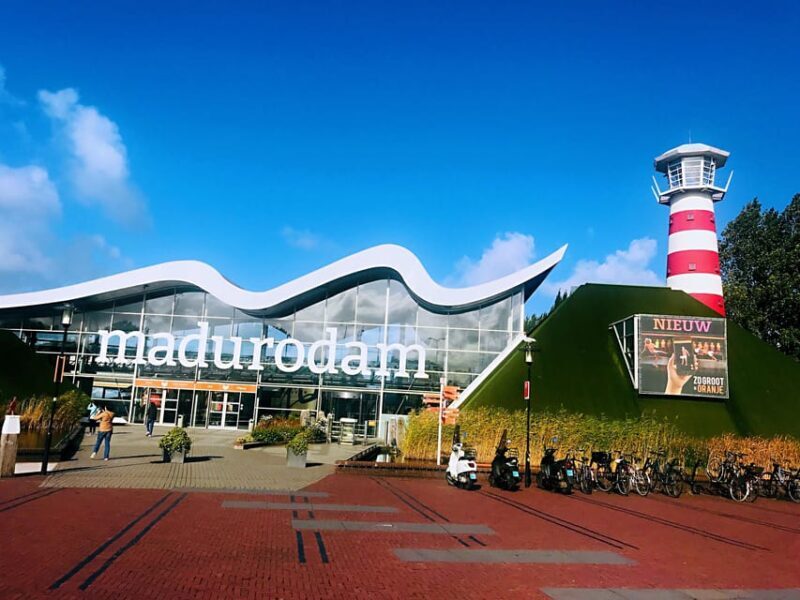 From Amsterdam: Day Tour to Rotterdam, Delft and The Hague - The Value and Practical Aspects