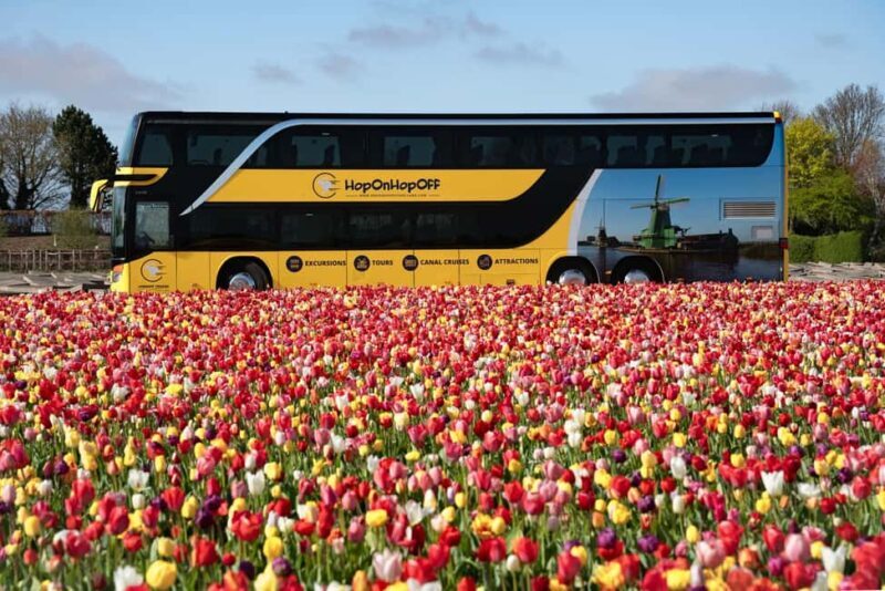 From Amsterdam: Day Trip Madurodam and Keukenhof Gardens - An Honest Look at the Tour Experience