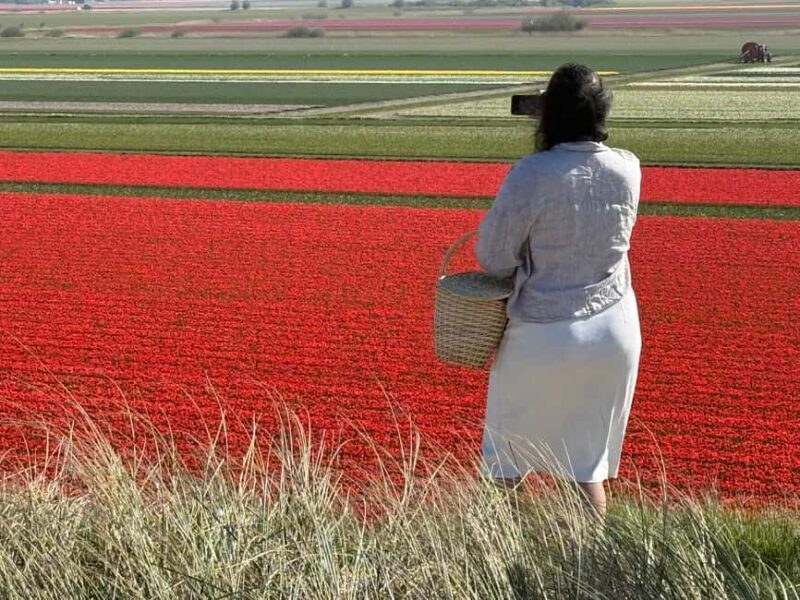 From Amsterdam: Dunes, Submarine & Windmills Guided Day Tour - Who Should Consider This Tour?