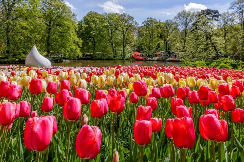 From Amsterdam: Keukenhof and Dutch Countryside Tour - Key Points