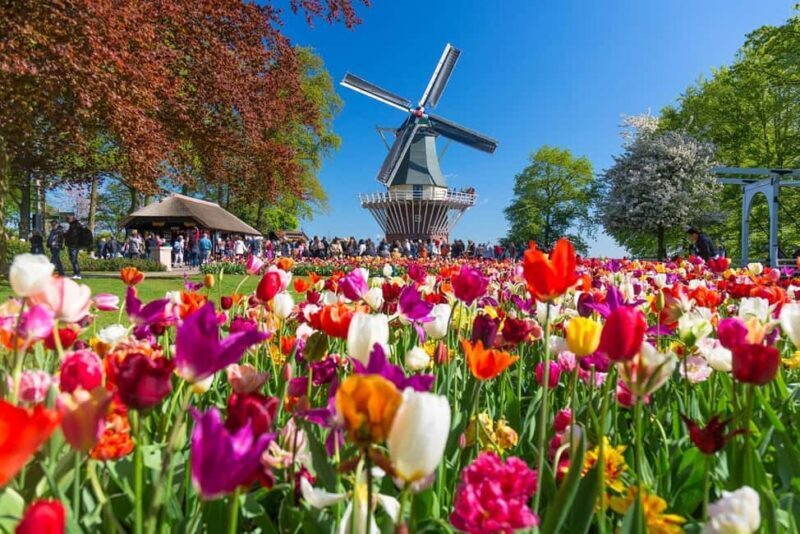 From Amsterdam: Keukenhof and Tulip Experience Tour - Key Points