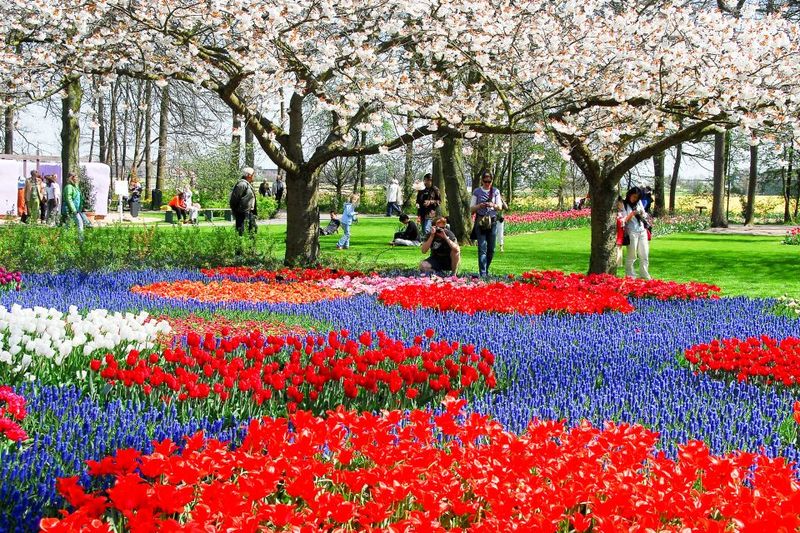 From Amsterdam: Keukenhof Ticket with Transfer - Crowd management: the calm way to enjoy a busy park