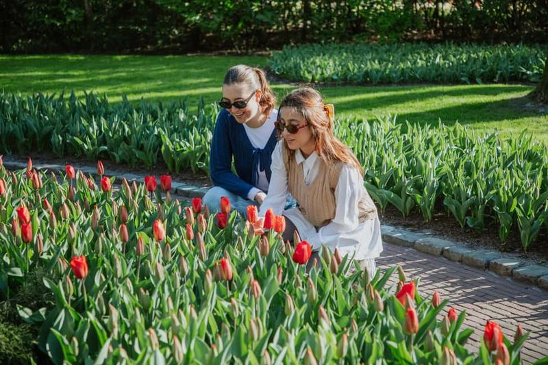 From Amsterdam: Keukenhof Ticket with Transfer - Food and drink stops: plan for a snack break inside the gardens