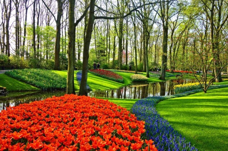 From Amsterdam: Keukenhof Gardens and Giethoorn Tour - Who Should Consider This Tour?