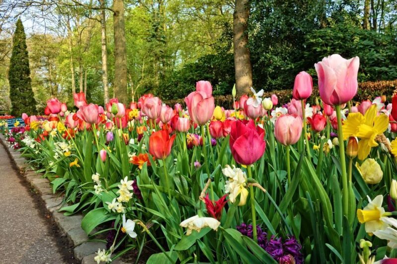 From Amsterdam: Keukenhof Gardens and Giethoorn Tour - FAQ about the Keukenhof and Giethoorn Tour
