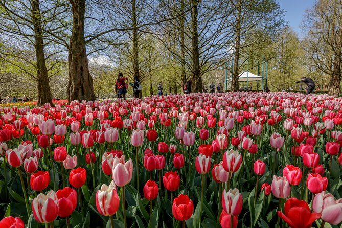 From Amsterdam: Keukenhof Gardens Ticket and Transfer - The Pros and Cons