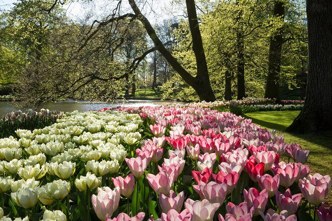 From Amsterdam: Keukenhof Gardens Ticket and Transfer - How Good Is the Value?