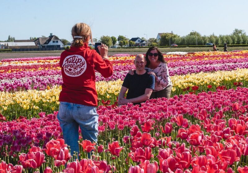 From Amsterdam: Keukenhof Gardens & Tulip Experience Tour - Who Should Consider This Tour?