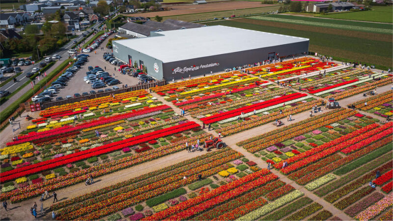 From Amsterdam: Keukenhof Gardens & Tulip Experience Tour - FAQs