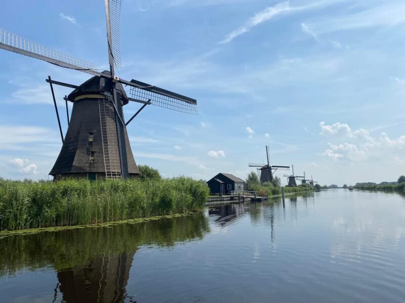 From Amsterdam: Kinderdijk, Delft & Mauritshuis Private Tour - Exploring Kinderdijk: The Iconic Windmills
