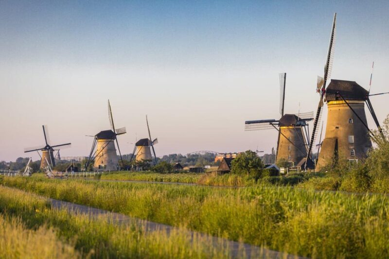 From Amsterdam: Kinderdijk, Delft & Mauritshuis Private Tour - Masterpieces at the Mauritshuis