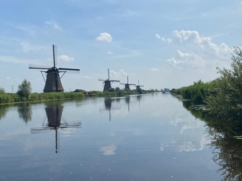 From Amsterdam: Kinderdijk, Delft & Mauritshuis Private Tour - The Sum Up