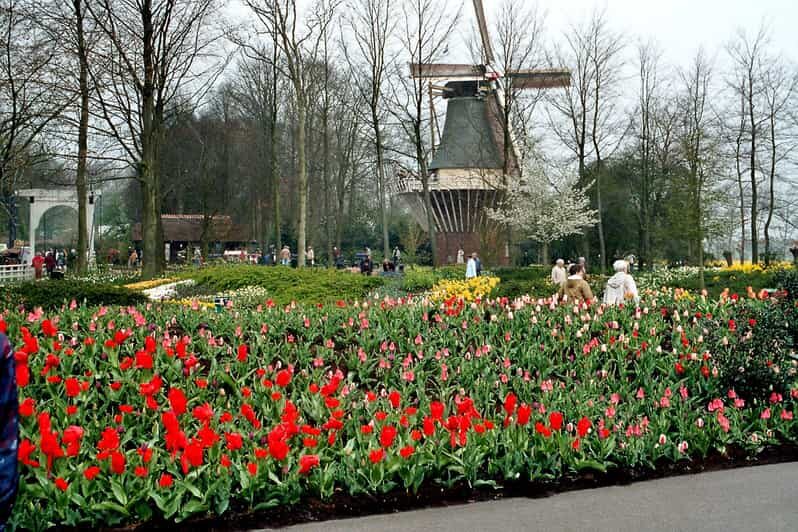 From Amsterdam: Private Day Trip to Keukenhof & De Tulperij - Who Is This Tour Best For?