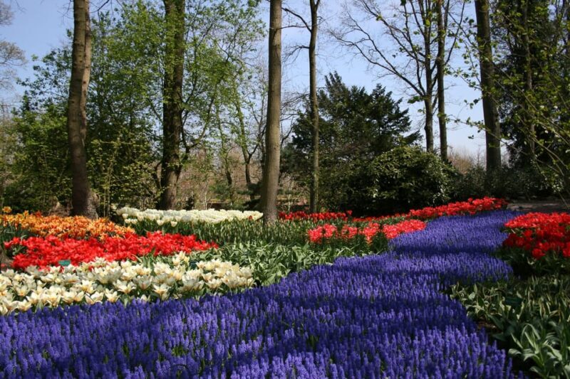 From Amsterdam: Private Day Trip to Keukenhof & De Tulperij - Frequently Asked Questions