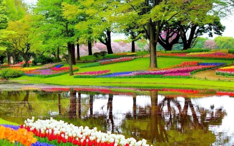 From Amsterdam: Private Keukenhof and Tulip Experience Tour - FAQ