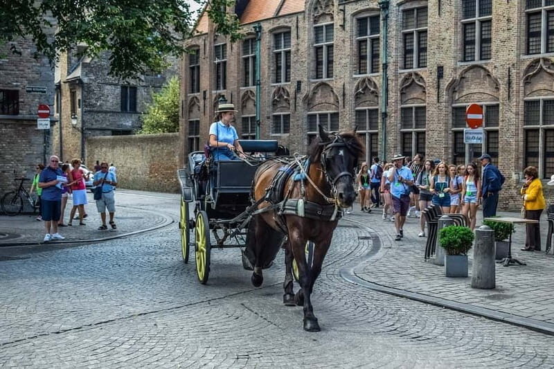 From Amsterdam: Private Sightseeing Tour to Bruges - Key Points