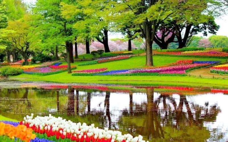 From Amsterdam: Private tour to the Keukenhof and Madurodam - An In-Depth Look at the Experience