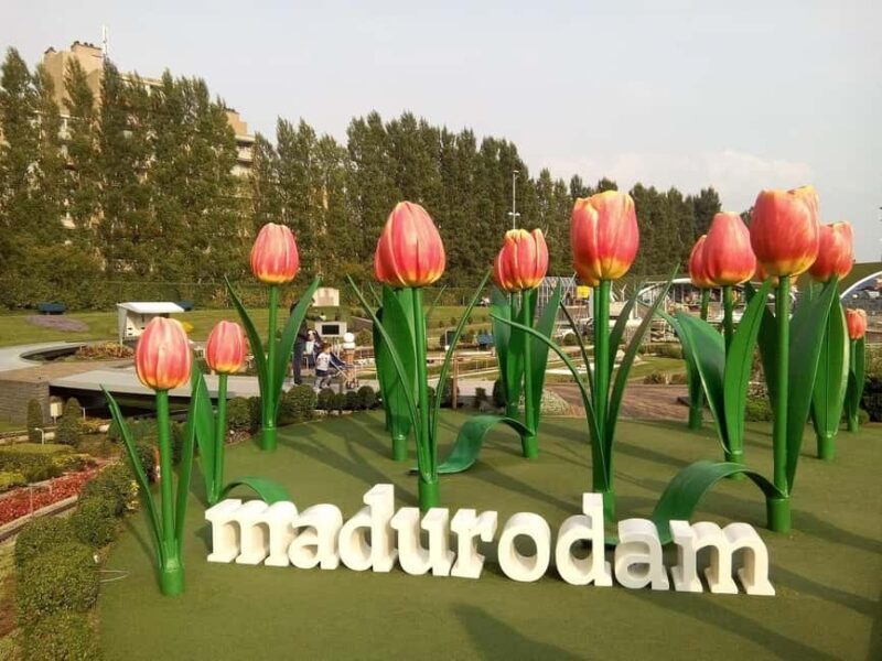 From Amsterdam: Private tour to the Keukenhof and Madurodam - FAQs