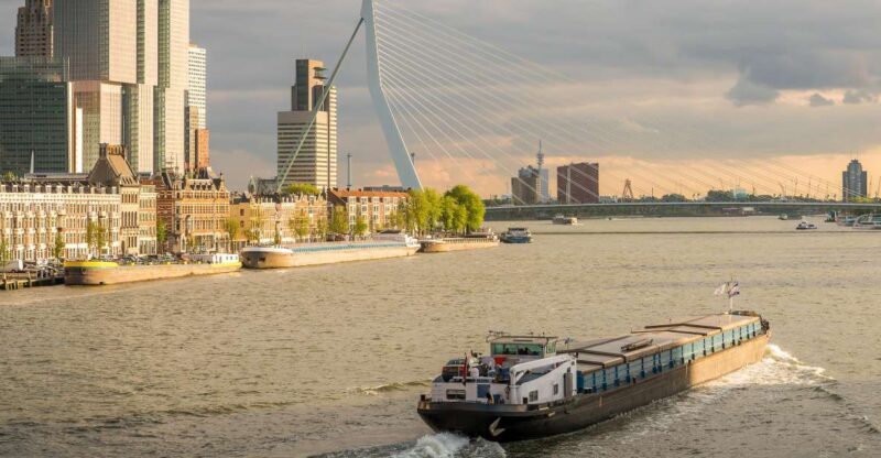 From Amsterdam: Rotterdam and The Hague Tour in Spanish - A Closer Look at the Experience