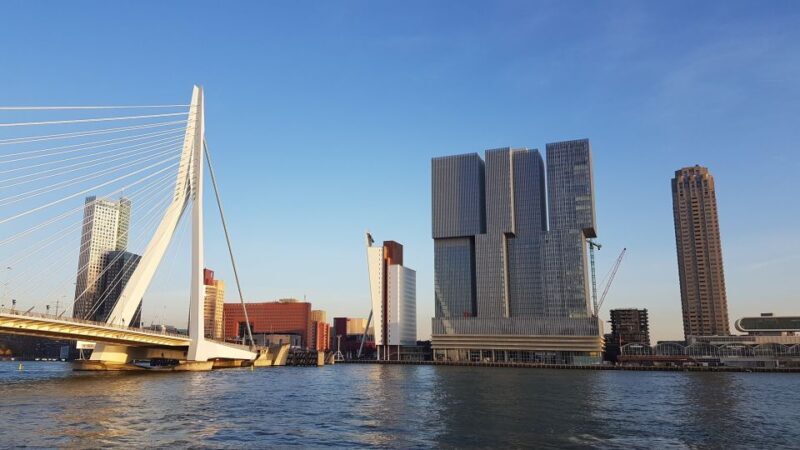From Amsterdam: Rotterdam and Zaanse Schans Private Day Trip - Who Will Appreciate This Tour?